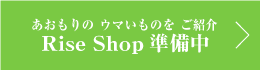 RiseShop